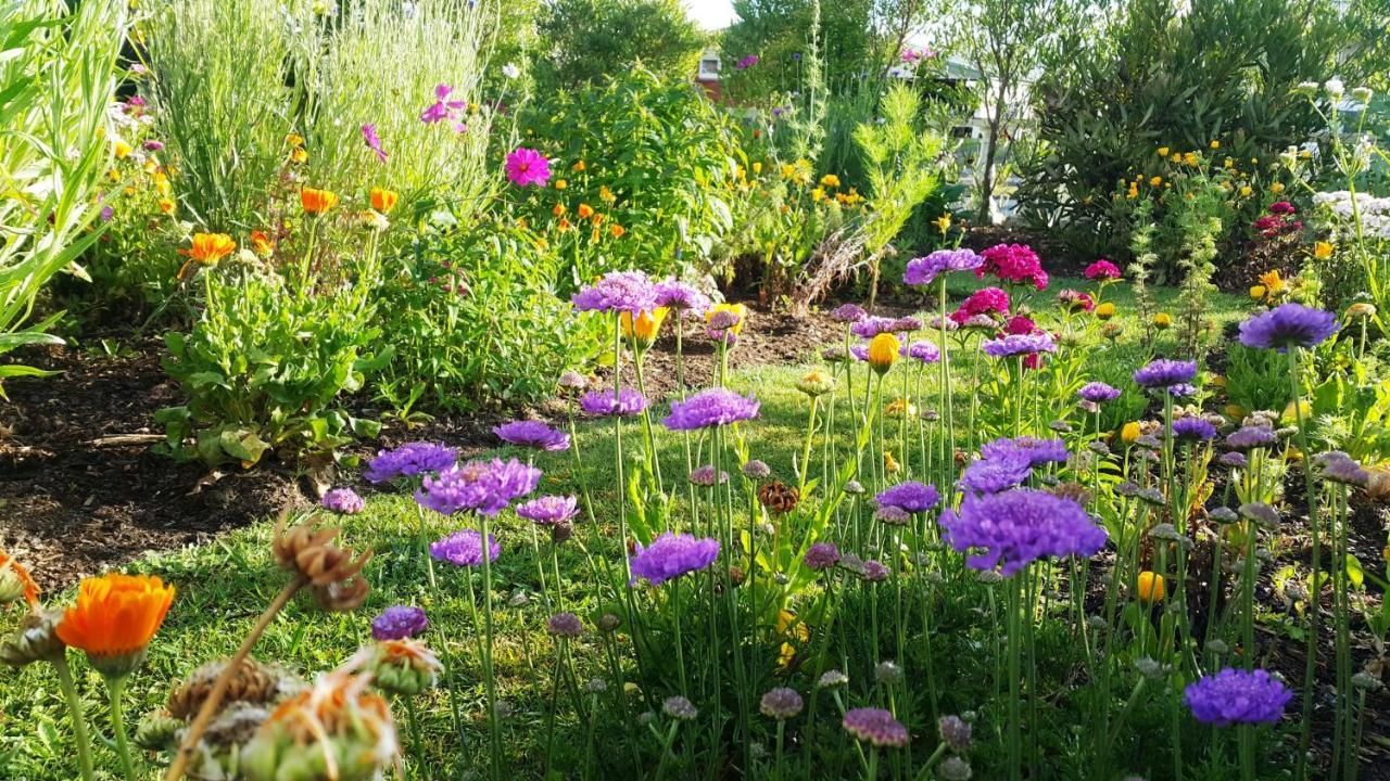 Apartament Blooming Delight Tauranga Zewnętrze zdjęcie